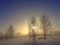 Misty winter sunset . Lithuania landscape