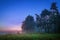 Misty wood and green meadow