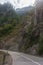 Misty wooded mountains and road