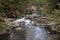 Mitake Shosenkyo gorges and moutain stream with red autumn leaves