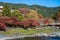 Mitake town and Tama river in autumn season.