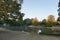 Mitcham Nature Park Pond Reflection