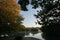 Mitcham Nature Park Pond Reflection