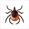 Mite bug art, insect control. Vector illustration