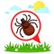 Mite in the grass in nature, caution season of ticks