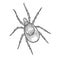 Mite insect sketch engraving vector illustration