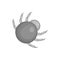 Mite parasite icon, black monochrome style