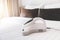 Mite vacuum cleaner technology handheld cleaning bed mattress dust eliminator