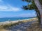 Mitikas beach tourist resort sea trees summer in preveza perfecture greece