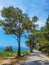 Mitikas beach tourist resort sea trees summer in preveza perfecture greece