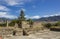 Mitla archeological Zapotec ruins Oaxaca Mexico