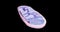 Mitochondria, cellular organelles, produce energy, Cell energy and Cellular respiration, DNA, 3D rendering