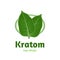 Mitragyna speciosa, kratom leaf logo template