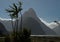 Mitre Peak and cabbage tree