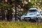 Mitsubishi crossover stands in a pine forest