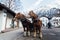 MITTENWALD, GERMANY - DECEMBER 2018: A couple of horses standing in old town street with Alps on background
