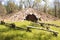 Miwok indian sweat lodge