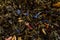 Mix of black tea with green sencha tea and cornflower flowers and strawberry slices.Dry fruit leaf texture background. Macro