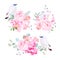 Mix of bouquets and Bali myna birds vector design set