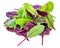 Mix fresh leaves of arugula, lettuce, frisee, radicchio and  spinach leaf for salad isolated on white background