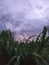 a mix of grass and a slightly dark sky.