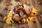 Mix of mushrooms on wooden planks