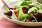 Mix salad (arugula, iceberg, red beet)