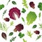 Mix of salad leaves. Arugula, spinach, lettuce leaf, watercress and radicchio. Seamless pattern. Vector illustration.