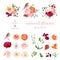 Mix of seasonal plants anf flowers big vector collection