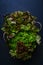 Mix of several types of lettuce in paper bag on dark blue wooden background, top view