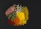 Mix of spices on dark background. Turmeric, paprika