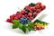 A mixed arrangement. Assorted berries including strawberry, cherry, blueberries, raspberries, black currant and red currant,