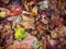 mixed autumn leaves background with different shades of fall col