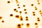 Mixed of bacteria colonies and fungus in various petri dish