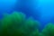 Mixed blue and green liquid background