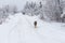 Mixed breed black dog standing on a snowy earth road looking around