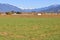 Mixed Crops and British Columbia`s Northshore Mountains