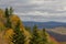 Mixed evergreen trees and yellow autumn leaves on mountainside, Great Smoky Mountains