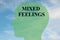 Mixed Feelings - mental concept