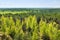 Mixed forest of coniferous and deciduous breeds. view from the top