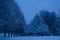 Mixed forest in the Kolomenskoye estate after snowfall, Moscow, Russia