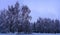 Mixed forest in the Kolomenskoye estate after snowfall, Moscow, Russia