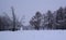 Mixed forest in the Kolomenskoye estate after snowfall, Moscow, Russia