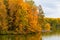 Mixed forest near water, beautiful landscape. Nature in fall, rural area