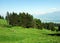 Mixed forests and thinned out trees on the slopes of the Alpstein mountain range and in the Rhine valley Rheintal, Gams