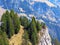 Mixed forests and thinned out trees on the slopes of the Churfirsten mountain range and in the Alptal alpine valley,Walenstadtberg