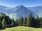 Mixed forests and thinned out trees on the slopes on the slopes of the Buochserhorn mountain and by the lake Lucerne