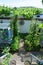 mixed fruit garden in summer with a wine roof