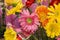 Mixed gerbera sticks and flowers