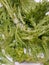 Mixed Greens, lettuce  - Stockpile of fresh vegetables, Johannesburg, South Africa